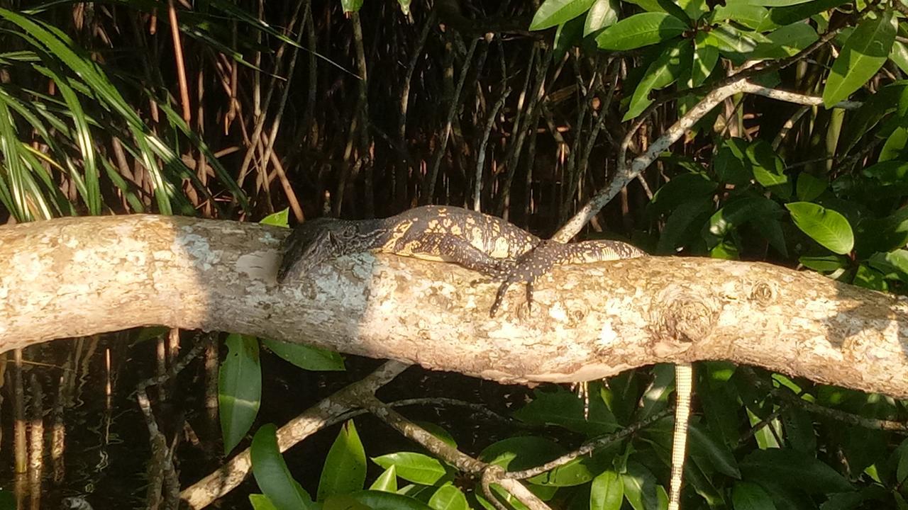 Mahi Villa Bentota Bagian luar foto